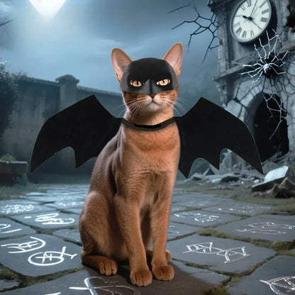 Halloween Pet Black Bat Costume Set with Mask Wing for Cats Dogs Creative Cosplay Cat Dog Halloween Party Pet Supplies