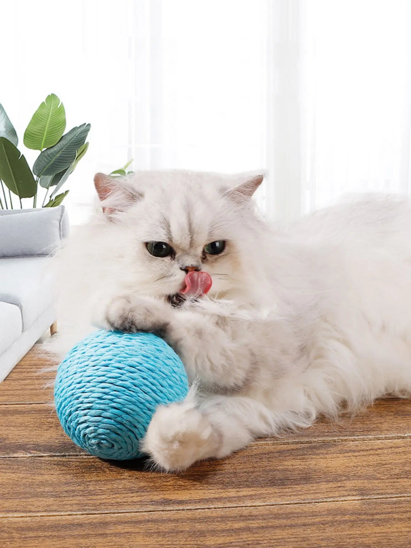 Interactive Sisal Cat Scratching Ball Toy For Kitten Teeth Cleaning Anti Bite 10CM Super Big Cat Ball Sounding Toy Pet Supplies
