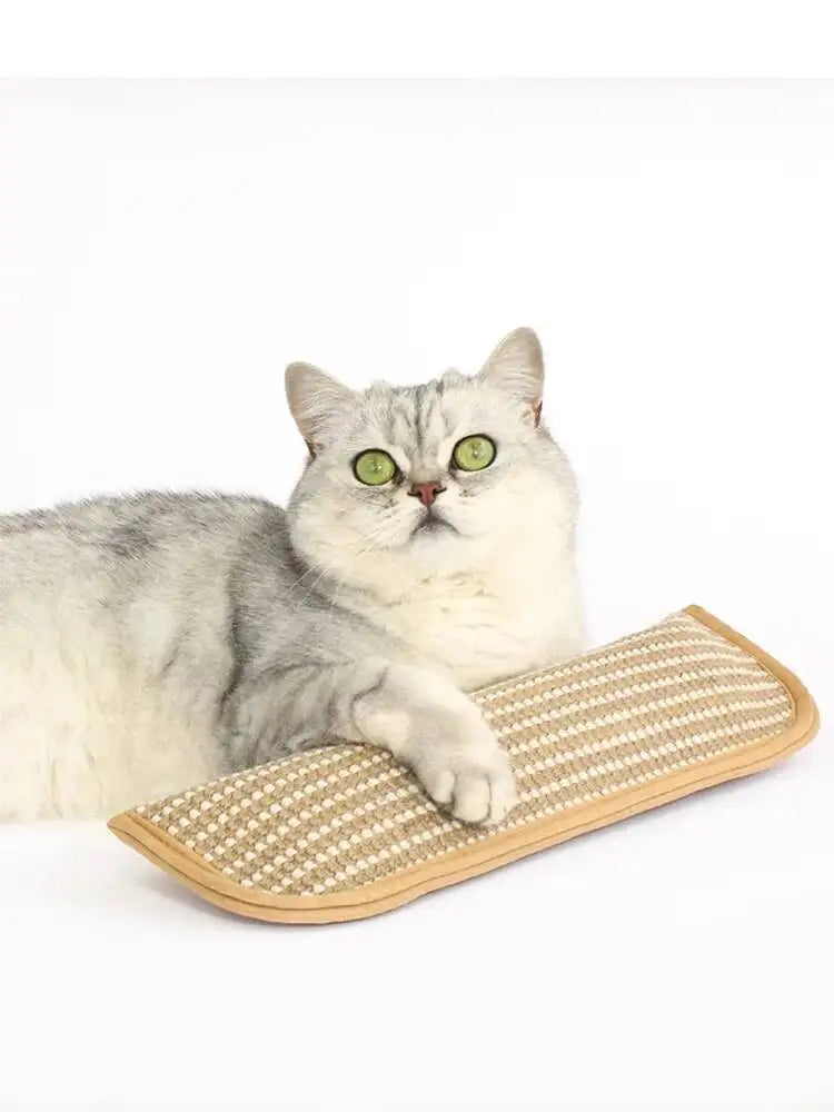 Cat Scratcher Interactive Toys for Cat Catnip Pillow Kitten Claw Grinder Scratching Post for Cats Chew Bite Toys Catnip Toy