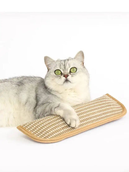 Cat Scratcher Interactive Toys for Cat Catnip Pillow Kitten Claw Grinder Scratching Post for Cats Chew Bite Toys Catnip Toy