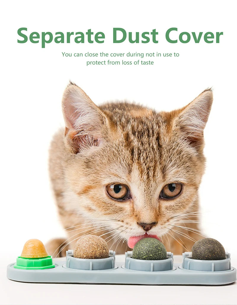 Natural Catnip Toys Silvervine Balls Teeth Cleaning Dental Wall Treats Extra Cat Energy Ball Edible Cat Lick Healthy Kitten Chew