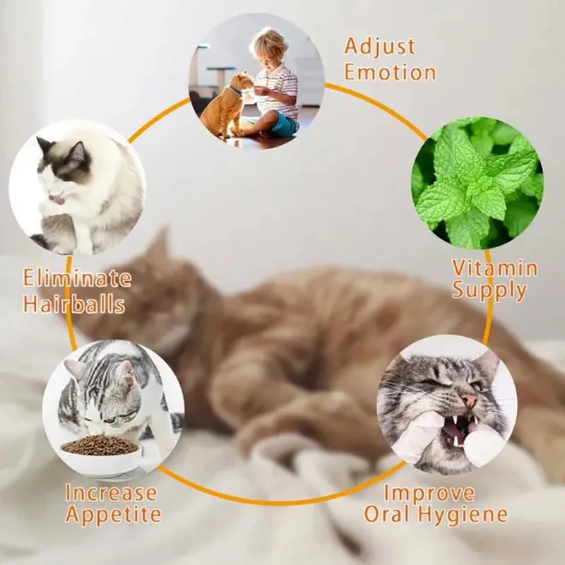Natural Catnip Toys Silvervine Balls Teeth Cleaning Dental Wall Treats Extra Cat Energy Ball Edible Cat Lick Healthy Kitten Chew