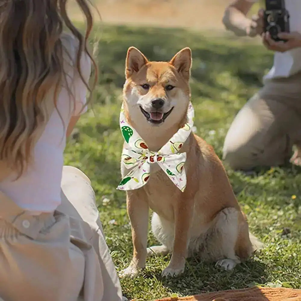 Pet Cooling Ice Scarf Cool Ice Breathable Towel Dog Cooling Hydrogel Bandana Collar Cat Adjustable Collar Bib Pet Supplies
