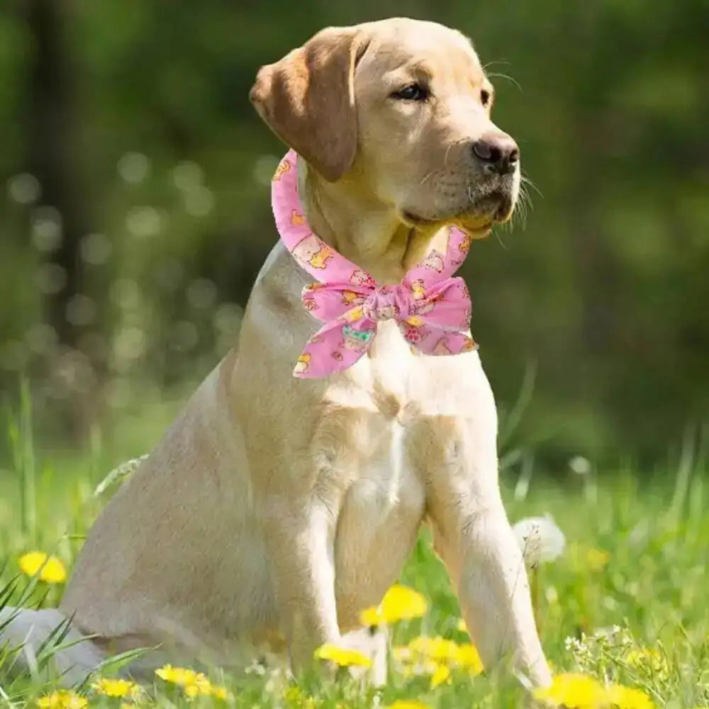 Pet Cooling Ice Scarf Cool Ice Breathable Towel Dog Cooling Hydrogel Bandana Collar Cat Adjustable Collar Bib Pet Supplies