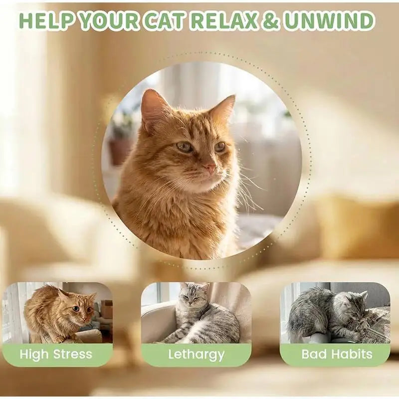 Mint Cigarettes Cat Toys Cigarettes Cat Grinding Sticks Cat Biting Toy To Oral Cleaning Cat Teaser Stick Relieve Boredom Anxiety
