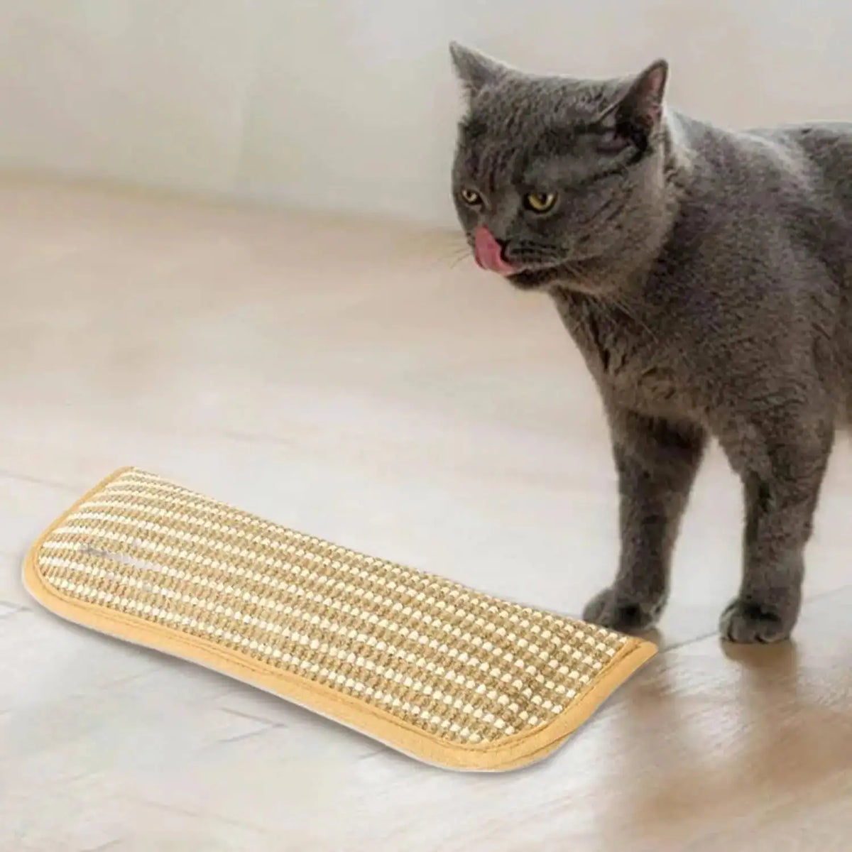 Cat Scratcher Interactive Toys for Cat Catnip Pillow Kitten Claw Grinder Scratching Post for Cats Chew Bite Toys Catnip Toy